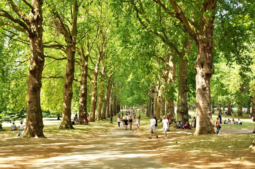 שביל מוצל בין עצים ב-Hyde Park — איפוס ידידותי למשפחות בין תחנות הסיור בלונדון